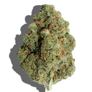 jack herer strain