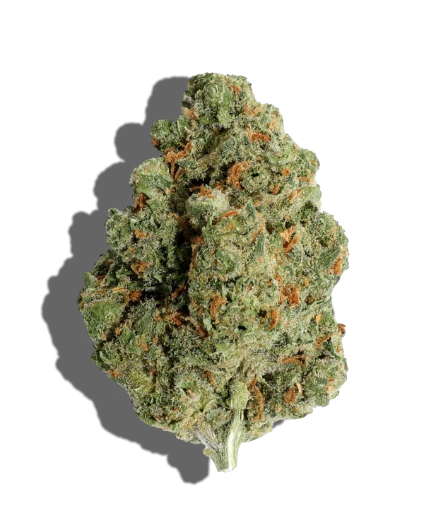 jack herer strain