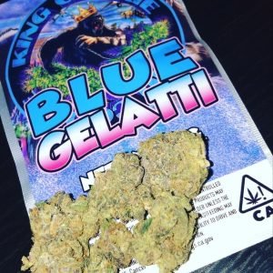 blue gelatti strain