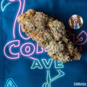 collins ave cookies strain