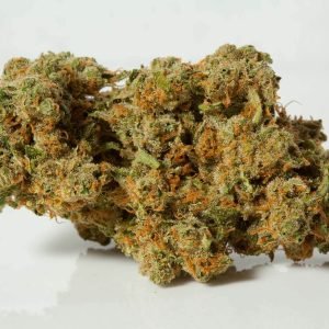 durban poison amsterdam