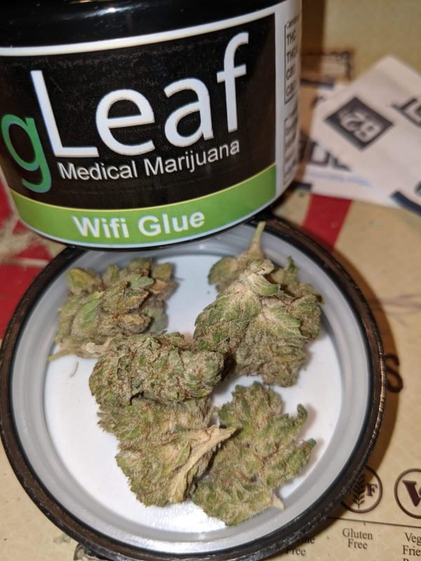 Buy Wifi Glue strain